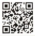 Yo-Kai Watch Cdigos QR para monedas especiales - Moneda emocin (flor)