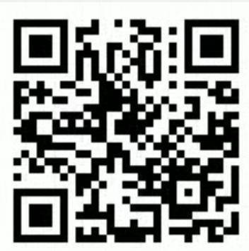 Yo-Kai Watch Cdigos QR para monedas especiales - Moneda emocin (luna)