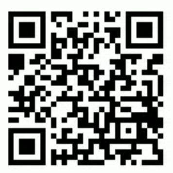 Yo-Kai Watch Cdigos QR para monedas especiales - Moneda emocin (pjaro)