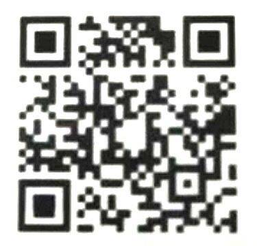 Yo-Kai Watch Cdigos QR para monedas especiales - Moneda montaa