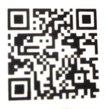 Yo-Kai Watch Cdigos QR para monedas especiales - Moneda sur