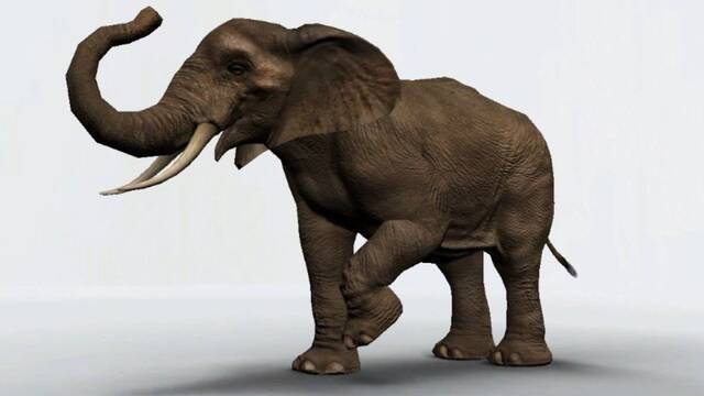 LQPS - Savannah de Rare -