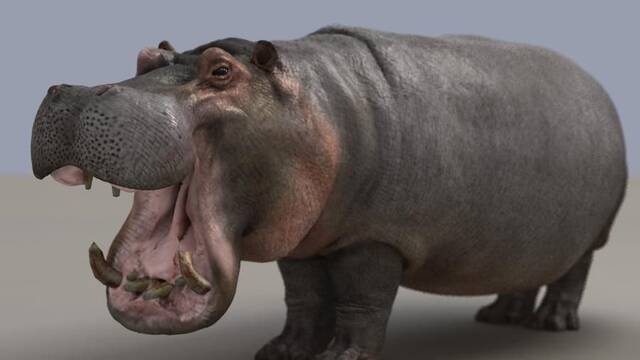 LQPS - Savannah de Rare -