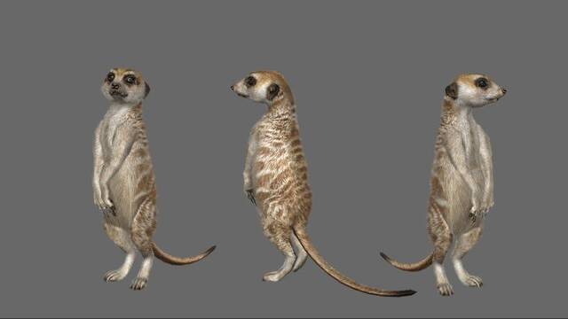 LQPS - Savannah de Rare -