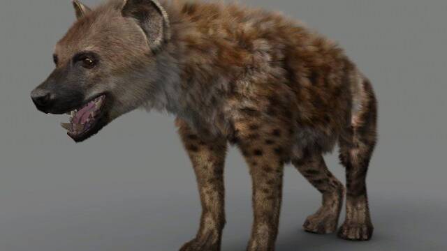 LQPS - Savannah de Rare -