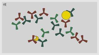 Super Mario Odyssey - Nuevas pistas artísticas - Nueva pista 3