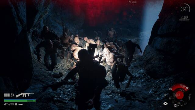 Days Gone - Capturas de la versin final - 