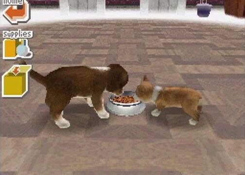 Las grandes creaciones de Miyamoto - Nintendogs para Nintendo DS supuso un fen�meno en ventas (2005)