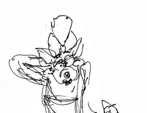 LQPS Willy the Wombat - Secundarios - 