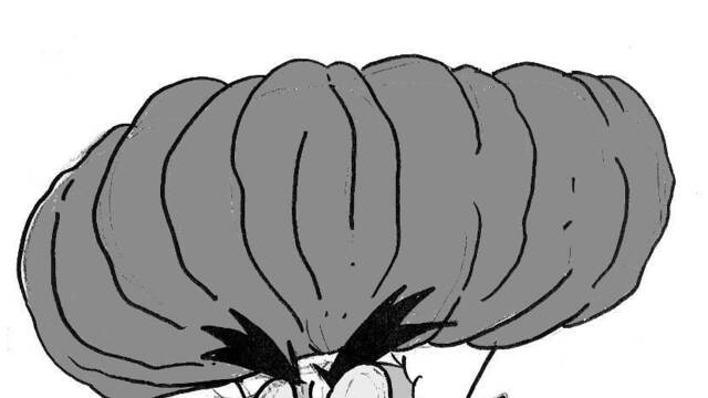 LQPS Willy the Wombat - Secundarios - 