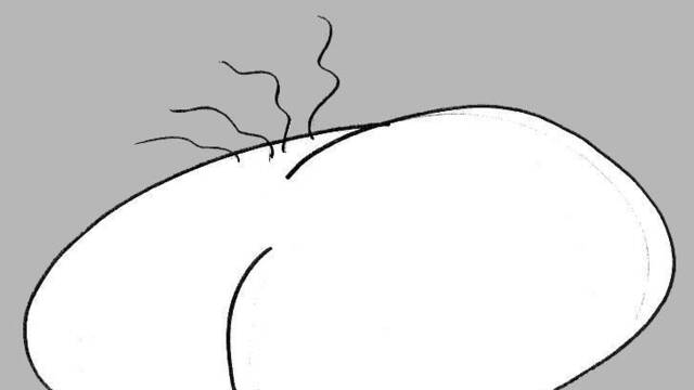 LQPS Willy the Wombat - Secundarios - 