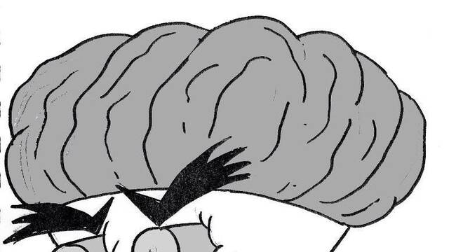 LQPS Willy the Wombat - Secundarios - 