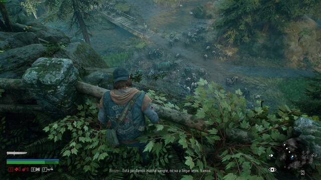 Days Gone - Imgenes en PC - 