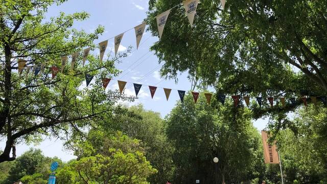 Zona Safari de Pokmon GO Sevilla - 