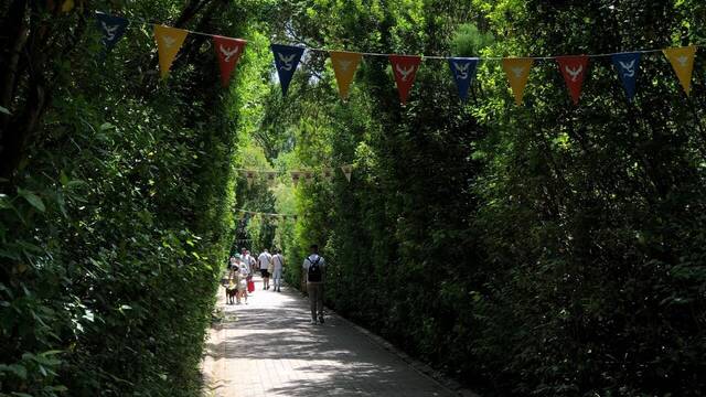 Zona Safari de Pokmon GO Sevilla - 