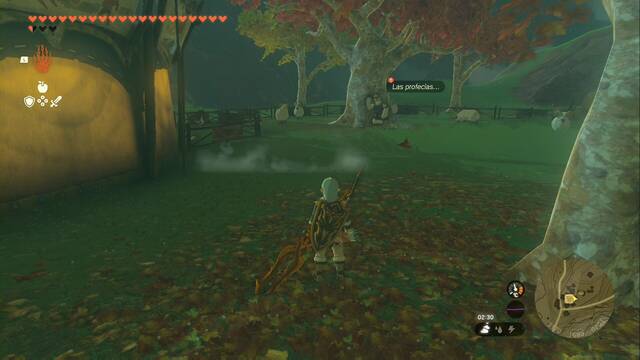 Postas de la misión Los rumores sobre Zelda - Penn en la Posta de Akkala sur