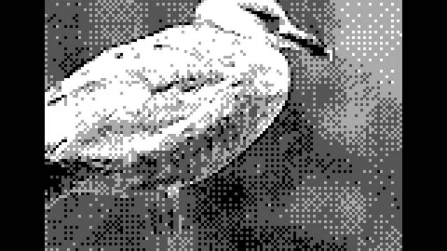 Game Boy Camera - Pjaros - 