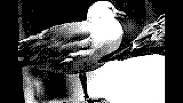Game Boy Camera - Pjaros - 