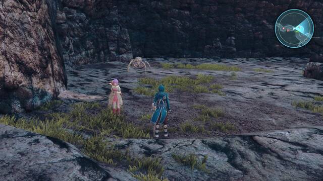 Santeroule (2) - Enemigos 2 - Adephaga Prox