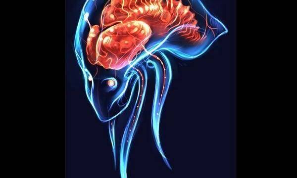 LQPS - Metroid Prime (I) -