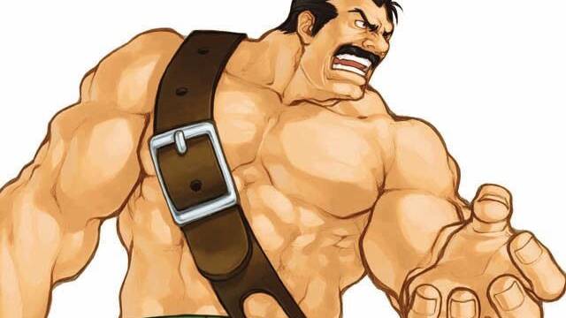 LQPS - Capcom Fighting All-Stars: Code Holder (ilustraciones) -