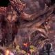Monster Hunter World - Encuentra a un primer wyveriano - Rathalos