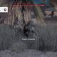 Assassin Creed Origins - Papiros - Tierras frtiles - Tierras fstiles 4   Lugar del tesoro