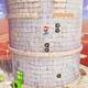 Super Mario Odyssey - Reino de las Arenas - Torre redonda en 2D