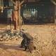 Assassin Creed Origins - Estatuas de Ptolomeo - Canopo 1 - Localizacin en el juego