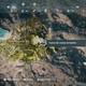 Assassin's Creed Odyssey : Bosque ocupado de Tripodisco - Cueva del campamento de batalla