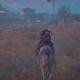 Assassin Creed Origins - Misin secundaria: El ltimo guardaespaldas - Persigue al ladrn
