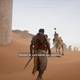 Assassin Creed Origins - El Oasis - Llamar al camello