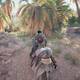 Assassin Creed Origins - Misiones secundarias - Reunin familiar - Ve a su casa