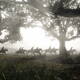 Red Dead Redemption 2 en PC - Nuevas imgenes - 