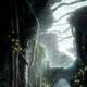 Dark Souls II - 
