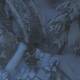 Rise of the Tomb Raider - Bosque siberiano 1 - Documento 1