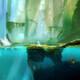 Ori and the Blind Forest - 