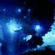 Ori and the Blind Forest - 