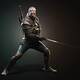 The Witcher III: Wild Hunt - 
