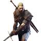 The Witcher III: Wild Hunt - 