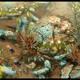 Halo Wars 2 - 