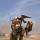 Assassins Creed Origins (II) - 