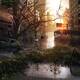 The Last of Us: Escenario - Las ciudades estn desiertas, pobladas por escasos supervivientes