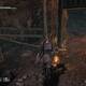 Nioh El catlogo perdido - Cadver