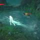 The Witcher 3: Wild Hunt - El Barn Sanguinario 3 - Golondrina no esquiva, se teletransporta