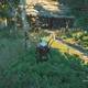 The Witcher 3: Wild Hunt - Asuntos familiares 4 - La casa est rodeada