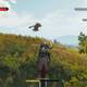 The Witcher 3: Wild Hunt - Defensor de la fe - Cuidado con el grifo