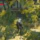 The Witcher 3: Wild Hunt - Corazn salvaje - Entra por detrs
