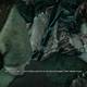 The Witcher 3: Wild Hunt - Corazn salvaje - Todo en nombre de un supuesto amor