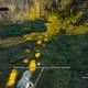 The Witcher 3: Wild Hunt - La bestia del bosque - Hay unas huellas extraas